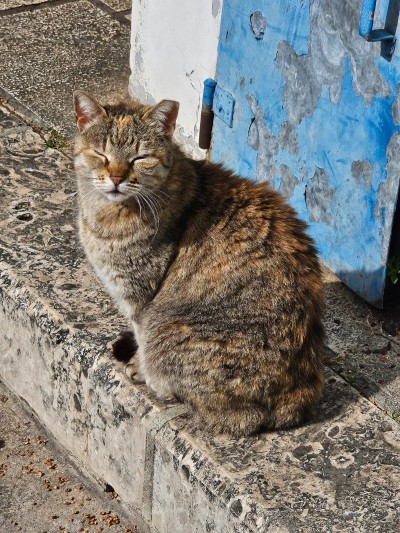 WhatsApp Image 2026-03-11 at 13.16.28.jpeg